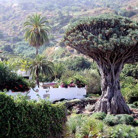 Apartament El Rincon With Teide View III Icod De Los Vinos Zewnętrze zdjęcie